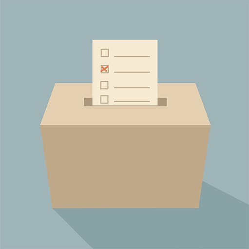 Billede af projektet Kommunalvalg 2013